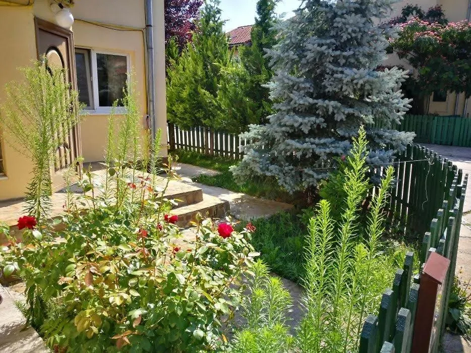 House With A Garden In Pipera Villa Bucharest