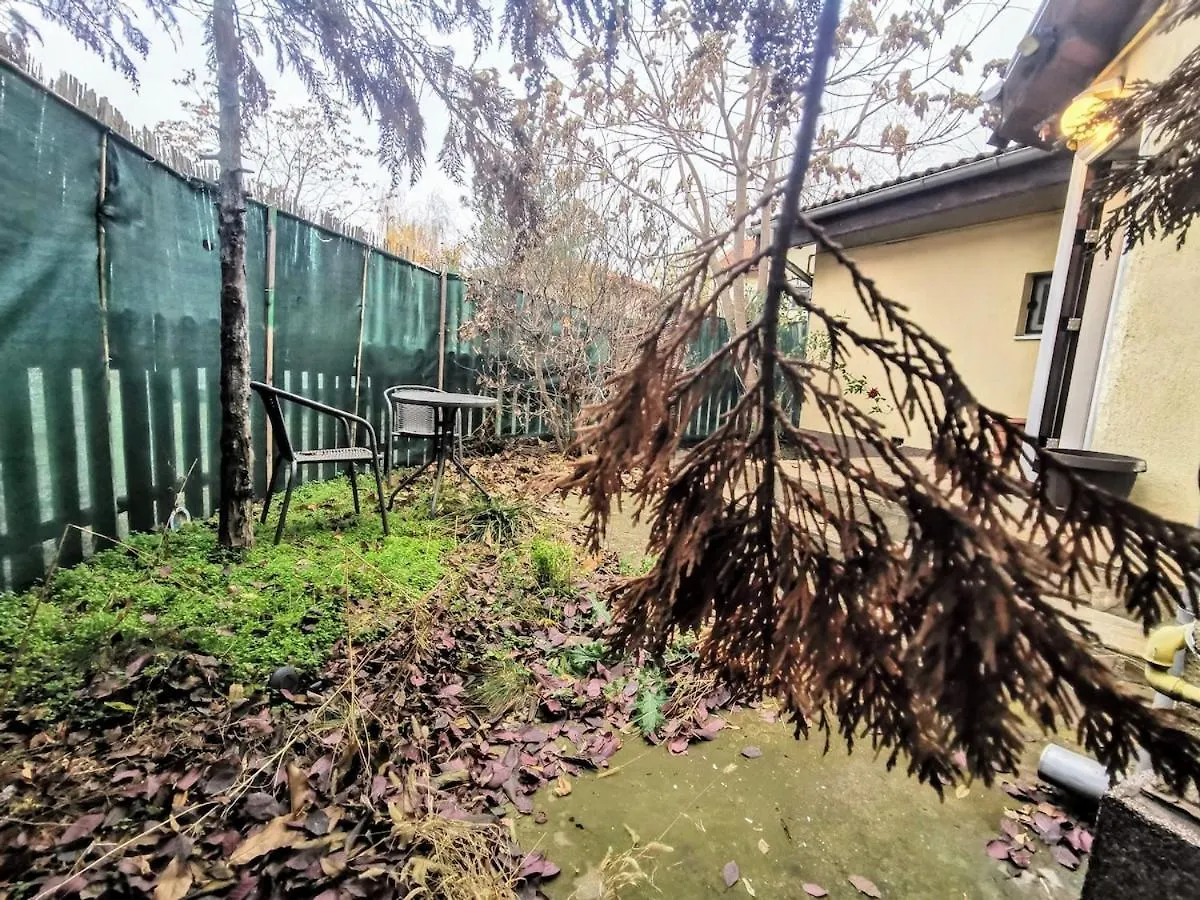 House With A Garden In Pipera Villa Bucharest
